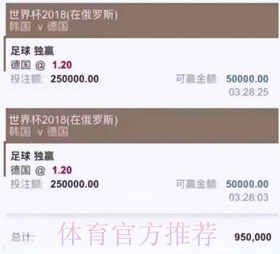 深度解析：哪个是最佳世界杯投注平台选择？